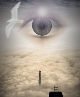 Chapter One – Nature’s Intelligence