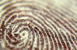 Chapter Nine – Story & Identity