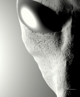 Chapter Fifteen – Friend or Foe?