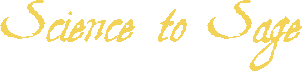 Envisioned Logo